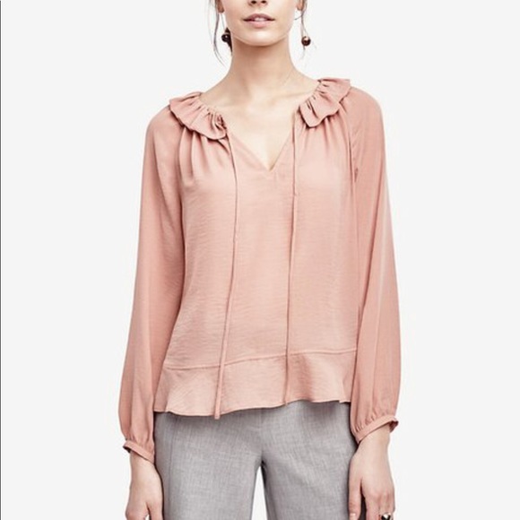 NWT Ann Taylor Sheer Blush Top 💫 - Picture 1 of 5